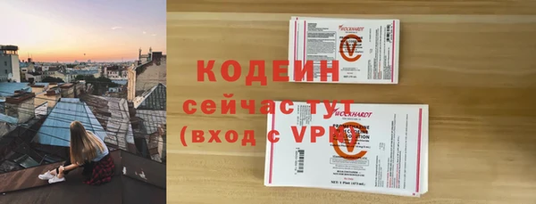 прущий лед Новозыбков