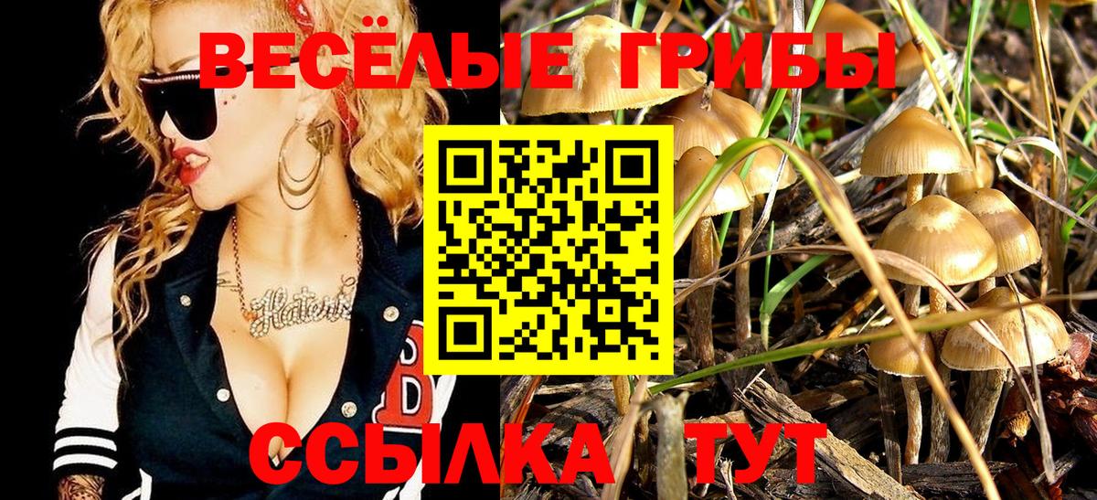Псилоцибиновые грибы Cubensis  Псилоцибиновые грибы прущие грибы  Вход с VPN  Полевской 