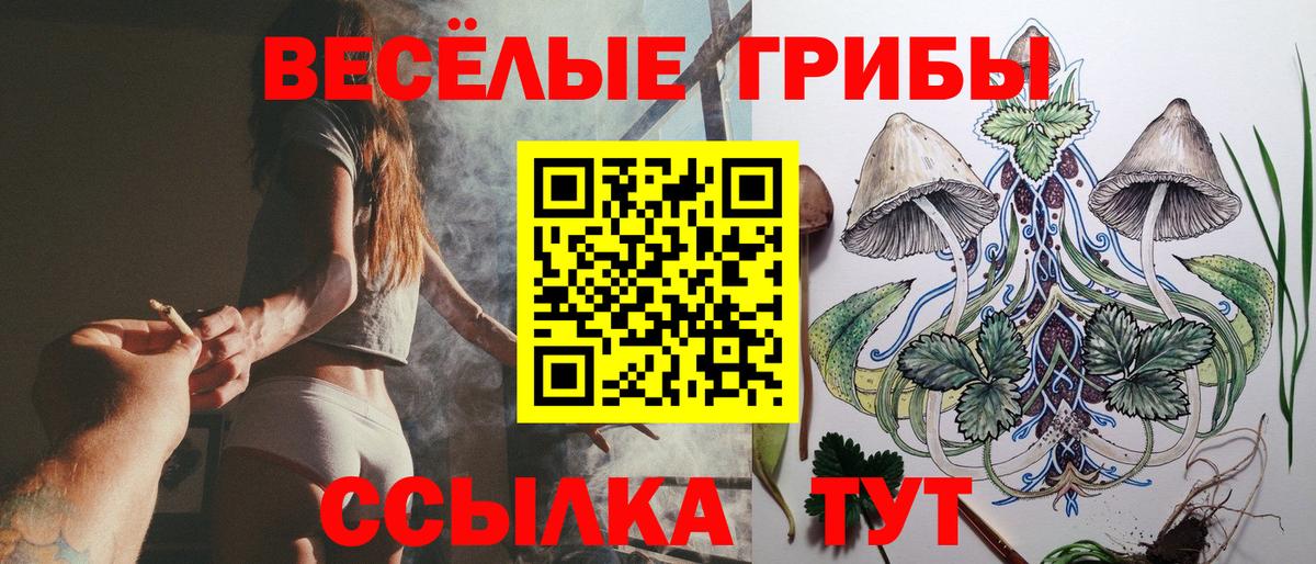 Галлюциногенные грибы Psilocybine cubensis  даркнет сайт  Полевской 