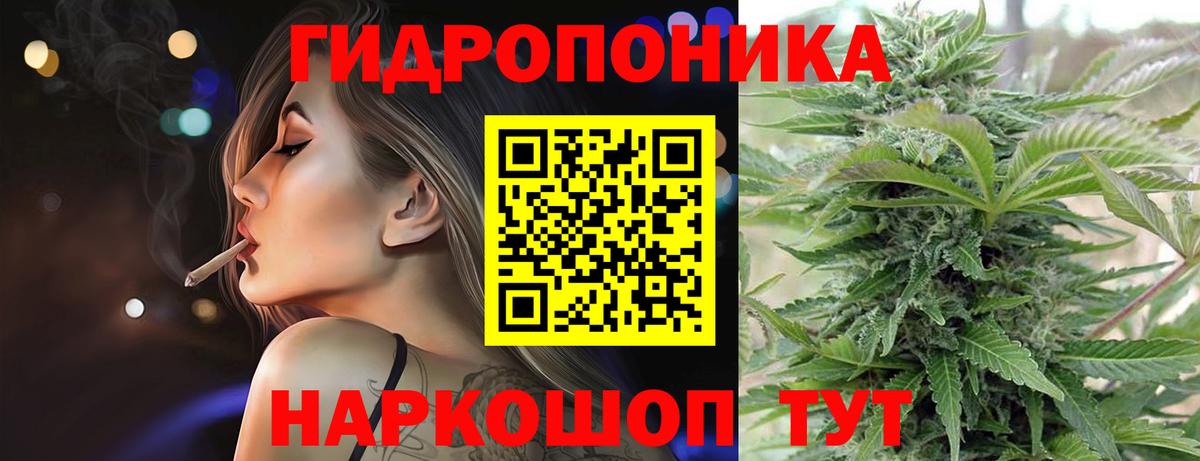 Шишки марихуана сатива Полевской